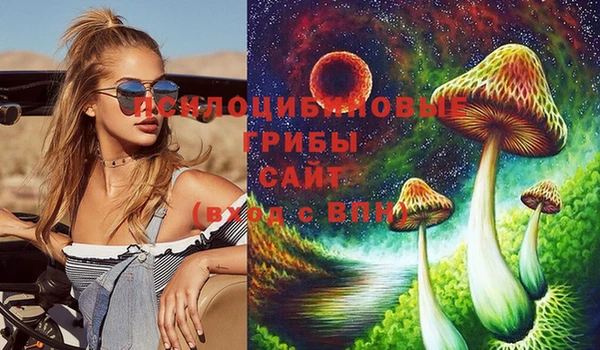 дживик Ханты-Мансийск