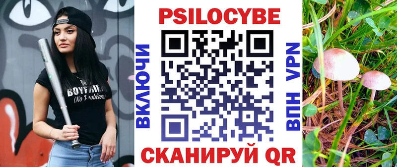 Псилоцибиновые грибы Psilocybine cubensis  где продают   Уварово 